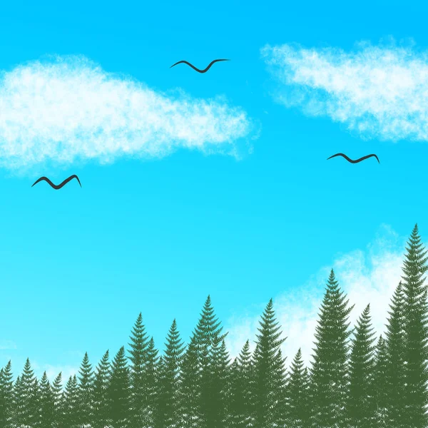 Vista Del Bosque Pinos Con Aves Nubes Cielo Azul Fondo — Foto de Stock
