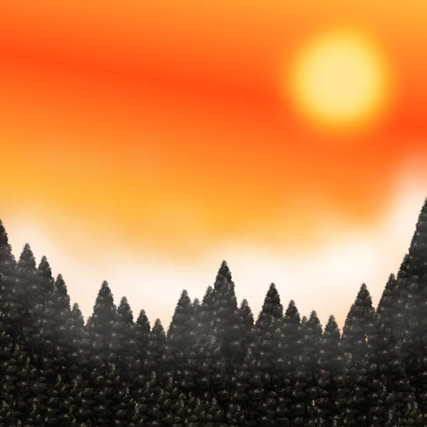 Kiefernwald Ansicht Mit Sonnenuntergang Himmel Grafik Hintergrund — Stockfoto