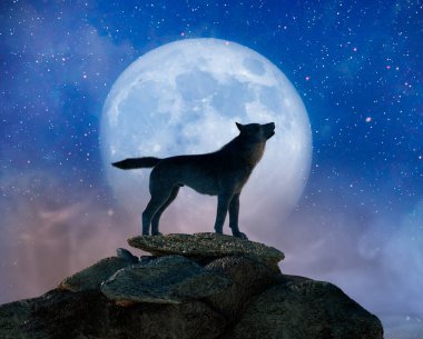 Kurt silueti dolunayda uluyor. 