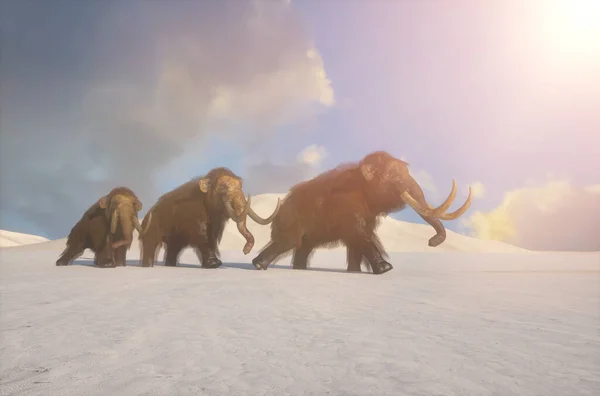 猛犸象以冬雪为背景 猛犸象群作了3D说明 — 图库照片