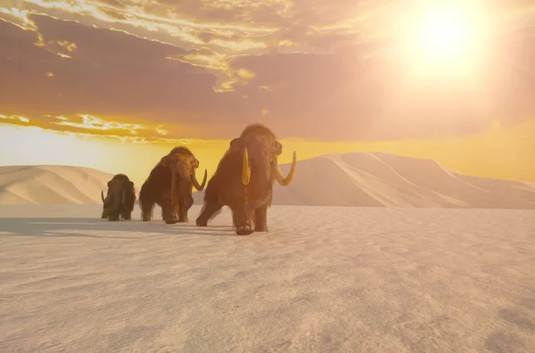 Mammut Sullo Sfondo Inverno Neve Mandria Mammut Rendono Illustrazione — Foto Stock