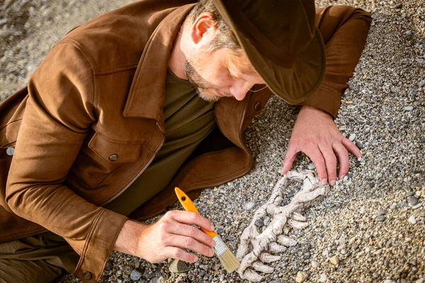 Paleontólogo Arqueólogo Descubre Huesos Cráneo Dinosaurio — Foto de Stock