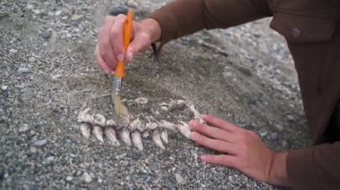 Arkeolog paleontolog, dinozor kafatasını yakından inceledi