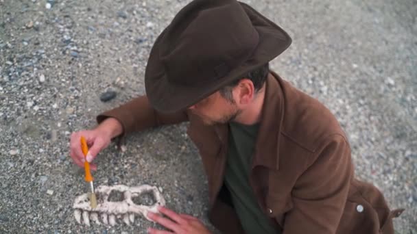 Археолог Палеонтолог Копает Кости Черепа Динозавра Крупным Планом — стоковое видео
