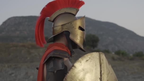 Спартанський Воїн Тлі Стародавньої Греції Спартанський Король — стокове відео