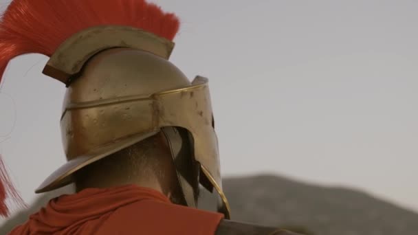 Spartan Prajurit Latar Belakang Yunani Kuno Raja Spartan — Stok Video