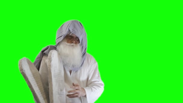 旧約聖書の預言者モーセは 緑の背景に十戒のタブレットを保持しています — ストック動画