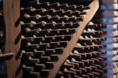 Şarap mahzeni arka planında şarap şişeleri