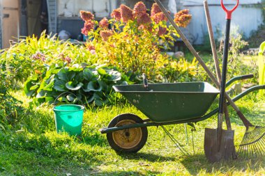 Bahçe Aletleri ve El Arabası Yeşil Çimlerde - Arka bahçede Tırmık, Kürek, Kürek ve Kova