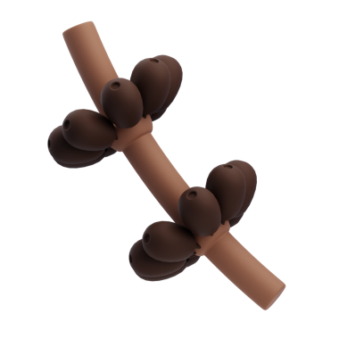 3 Boyutlu Kahve Fasulyeleri Şube Resimlerinde