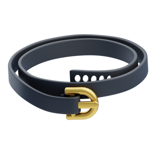 3D Elegant Dark Blue Belt With Gold Buckle