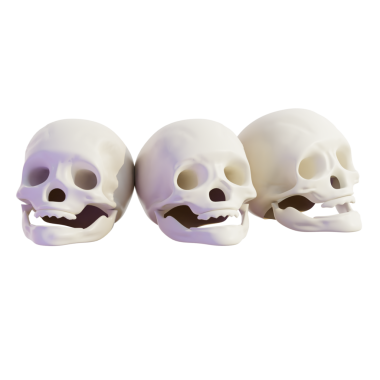 Üç Boyutlu Fantezi Kafatası