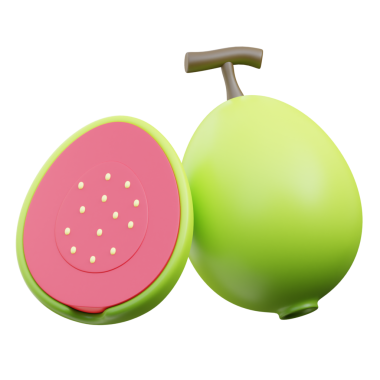 3B Guava Simge Resmetme Sunucusu