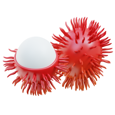 3 Boyutlu Rambutan Simge Çizimi