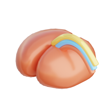 3B İlham İlham İllüstrasyon Simgesi Hazırlama