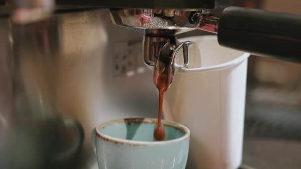 Közelkép Egy Baristáról Aki Kávét Csinál Kávézóban — Stock videók