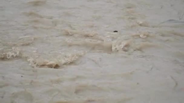 Kirli Nehrin Yağmurdan Sonraki Görüntülerini Kapat — Stok video