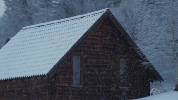 Bellissimo Filmato Cottage Nella Foresta Nevicando All Aperto Nella Foresta — Video Stock