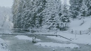 Kozalaklı orman ve nehirdeki kış manzarasının inanılmaz görüntüleri..