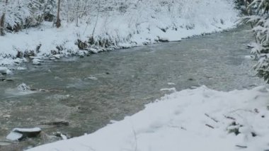 Kozalaklı orman ve nehirdeki kış manzarasının inanılmaz görüntüleri..