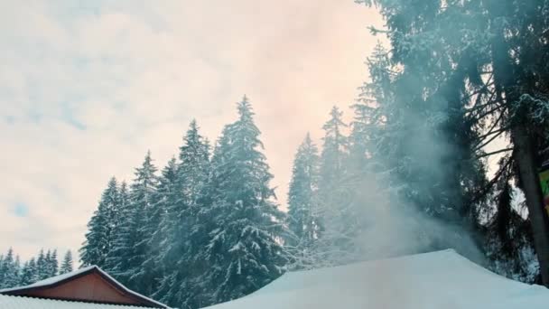 Close Imagens Pinheiros Com Neve Durante Inverno — Vídeo de Stock