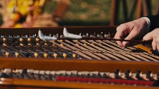 Close Footage Musician Playing Cimbalom Musical Instrument Outdoor — Stock Video
