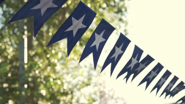 美国国庆期间的许多国旗的特写 — 图库视频影像