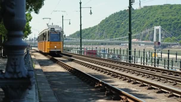 Maďarsko Budapešť Června 2022 Video Tramvaje Míjí Blízkosti Kamery Městě — Stock video