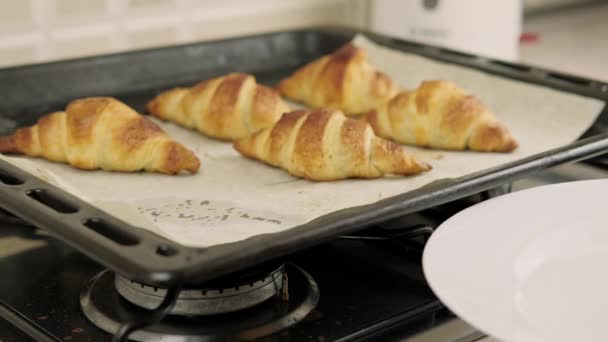 Close Video Just Hot Backed Homemade Croissants — Videoclip de stoc