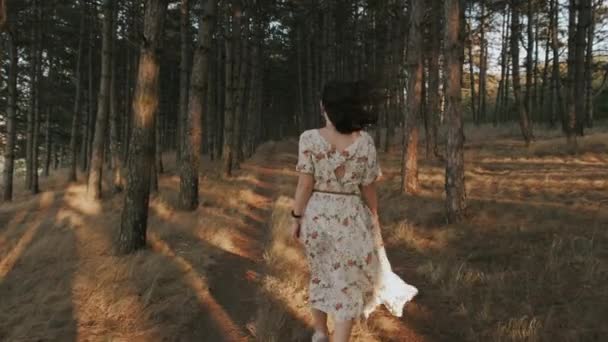 Кадри Самотньої Жінки Одязі Ходить Сосновому Лісі Під Час Заходу — стокове відео