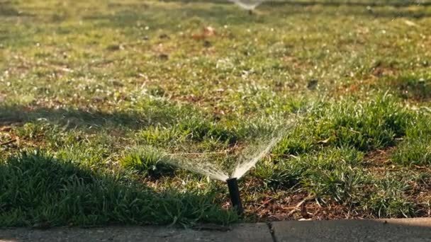 Close Video Irrigation System Grass — Video