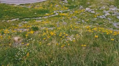 Yaz mevsiminde Transfagarasan Yolu 'nun güzel video görüntüleri..