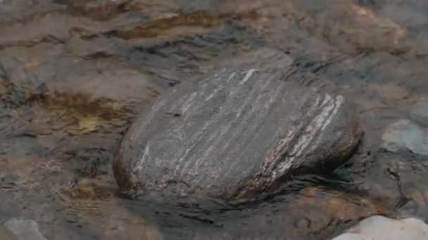 Nahaufnahme Video Von Netten Großen Felsen Fluss Mit Sauberem Wasser — Stockvideo