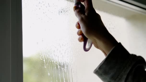 閉じますアップビデオの女性のクリーニング部屋の窓 — ストック動画