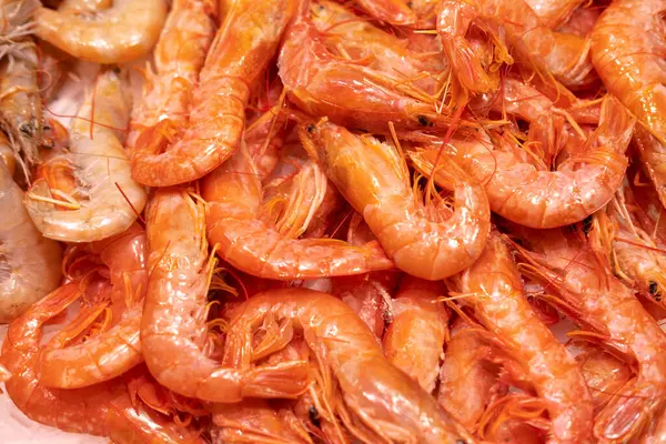 stock image Close up photo of fresh raw shrimps in Barcelona store.