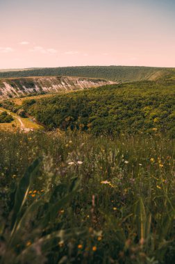 Image of beautiful green summer landscapes on hilly area in country side.