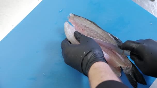 Närbild Video Chef Fileting Fisk — Stockvideo