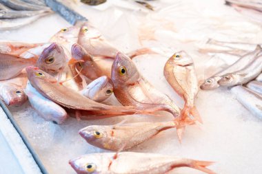 Caddedeki markette biraz deniz beyaz balığı ve buzdaki diğer deniz ürünlerini yakın plan çek..