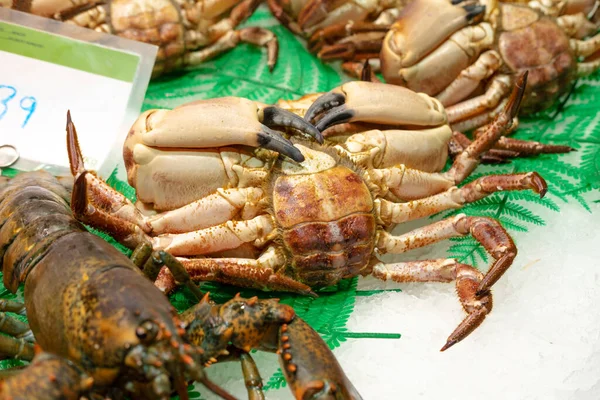 Close up shot of a big crab and some prawns or lobster on ice at the street market.
