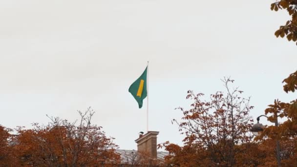 Πλάνα Της Βραζιλιάνικης Σημαίας Κυματίζει Στον Άνεμο — Αρχείο Βίντεο