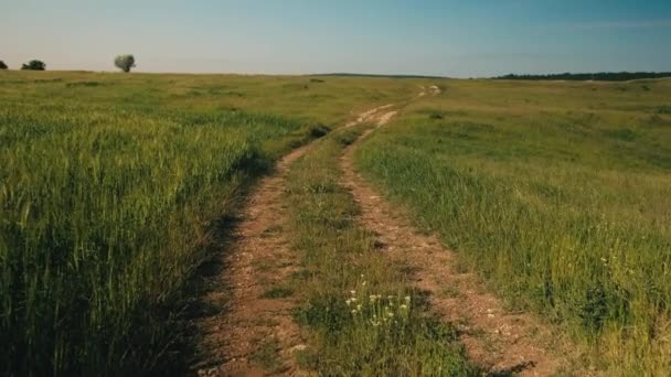 Filmagem Movimento Estrada Lateral País Sobre Colinas Terras Agrícolas — Vídeo de Stock