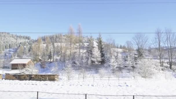 Pohybové Záběry Krásného Zimního Dne Venkově Pokryté Sněhem — Stock video