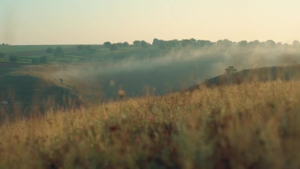 Záběry Úžasné Ráno Krásnou Krajinou Při Východu Slunce Kopcovité Oblasti — Stock video