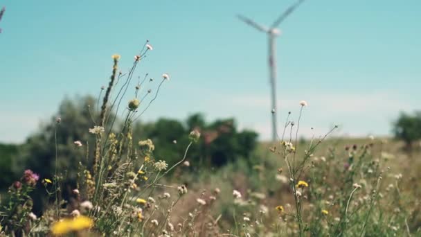 Enfoque Selectivo Tierra Verde Con Fondo Borroso Con Turbina Eólica — Vídeos de Stock