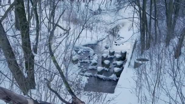 Hermosas Imágenes Movimiento Del Invierno Parque Después Tormenta Nieve — Vídeos de Stock