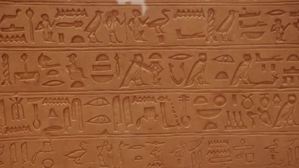 Close Video Egyptian Hieroglyphs Stone Wall — Stock Video