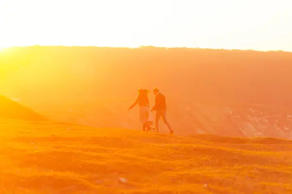 Young loving parents are walking on a field with their little daughter at sunset.