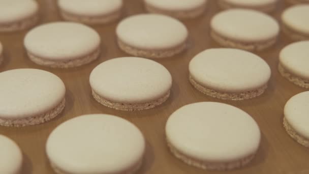 Close Video Macaroons Cookies Fresh Baked — Stock Video