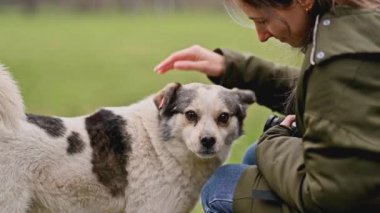 Sokak köpeğini kucaklayan genç bir kadının görüntüsü..