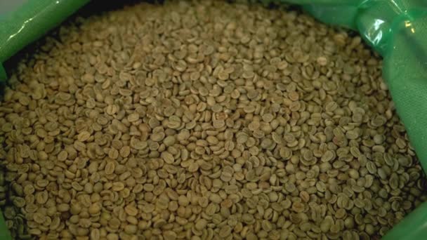 Fresh Green Coffee Beans Getting Ready Roastery Machine — Αρχείο Βίντεο